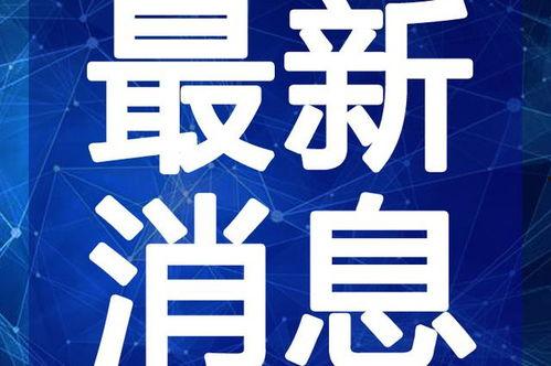 幻灵手雷最新爆料视频,神秘技能曝光，战场格局或将重塑