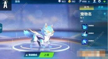 qq飞车最新爆料 宠物,萌宠助力，速度与激情的完美融合