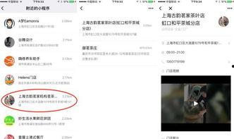 小程序独家最新爆料,小程序最新爆料，带你领略科技前沿风采