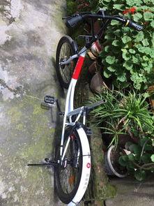 进口自行车爆料视频最新,最新爆料视频深度解析