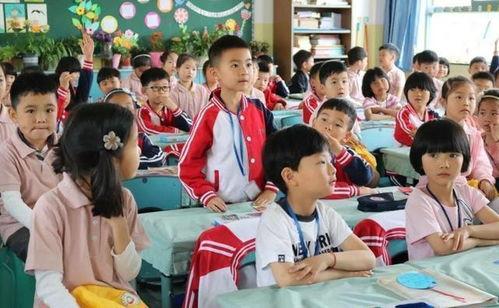 青岛小学生爆料案件最新,揭开校园安全隐秘面纱